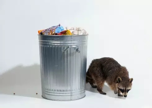 1593762612892972.jpg 0becd1df899af49f3235a00cd882de54_1200x500.jpg